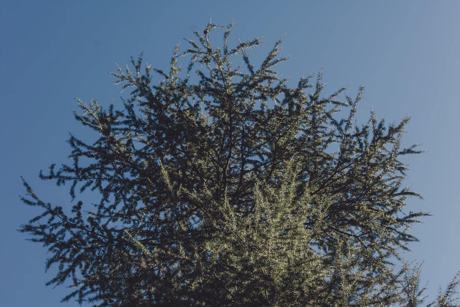 Top skills for plant manager in Oman