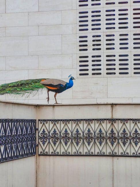 Visa Process for Indian Chefs in Middle East