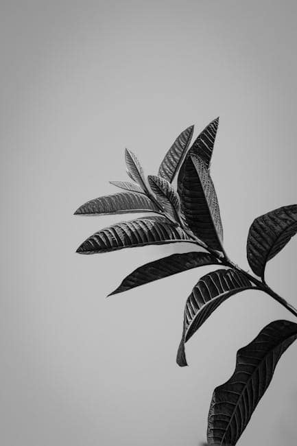 Bangladesh Catering Workforce Opportunities in Qatar