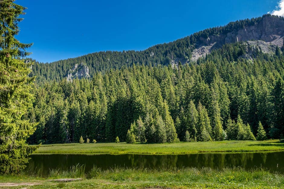 Recruiting Experienced Hotel Leaders for Saudi Resorts