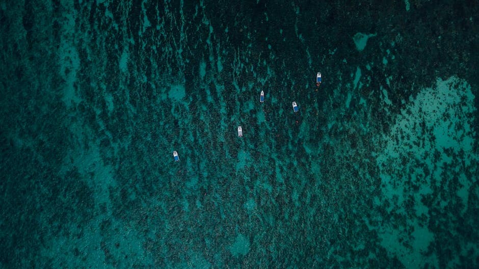 Forecast: offshore electrician demand in Kuwait 2026