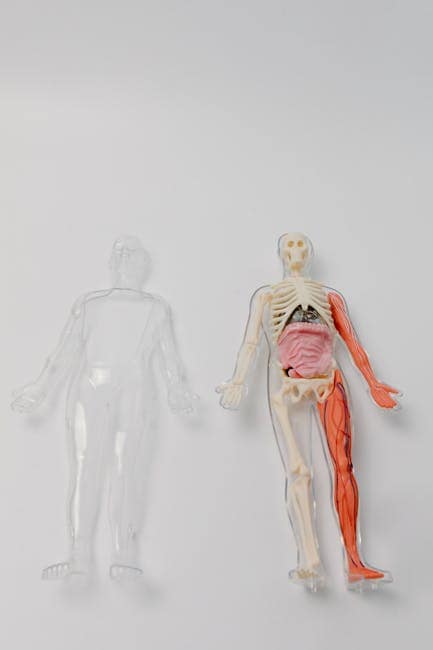 Case study: deploying 50 medical technician to GCC